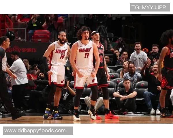 2013年NBA东部半决赛热火与公牛的激烈对决回顾与分析 2013年NBA东部半决赛热火与公牛的激烈对决回顾与分析