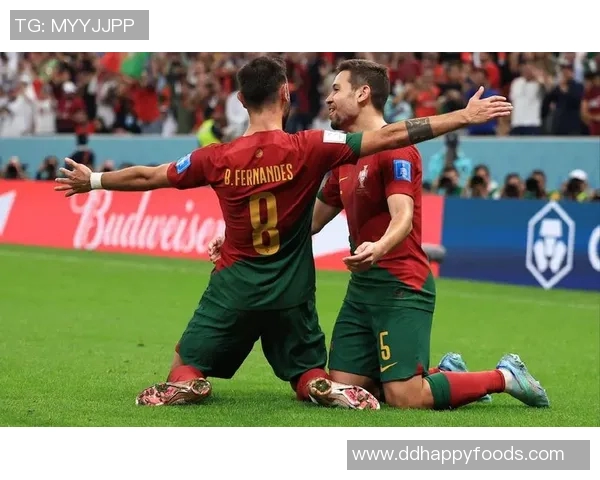 2010南非世界杯经典对决西班牙与葡萄牙的巅峰之战回顾 2010南非世界杯经典对决西班牙与葡萄牙的巅峰之战回顾